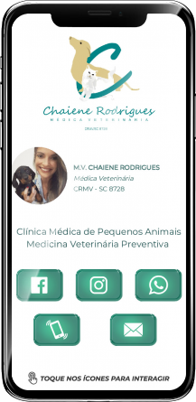 Chaiene Rodrigues Cartão de Visita Digital | Cartões que Falam
